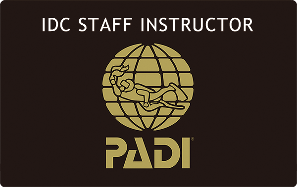 IDC STAFF INSTRUCTOR